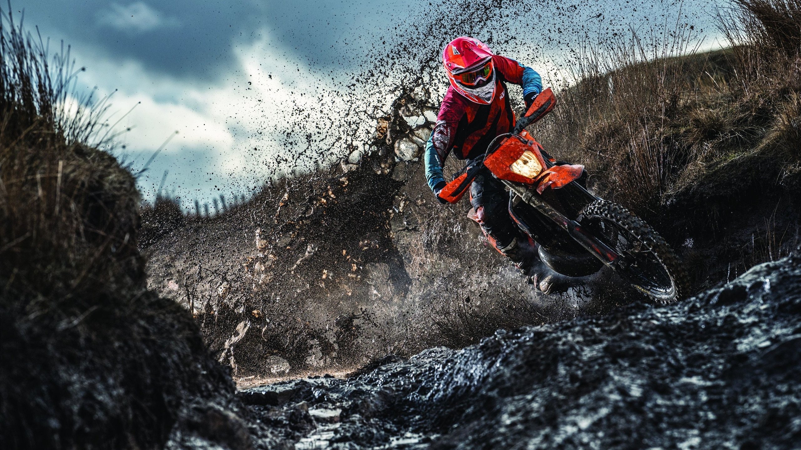 星际争霸2年度锦标战线上预赛天梯开启,星际争霸二赛事